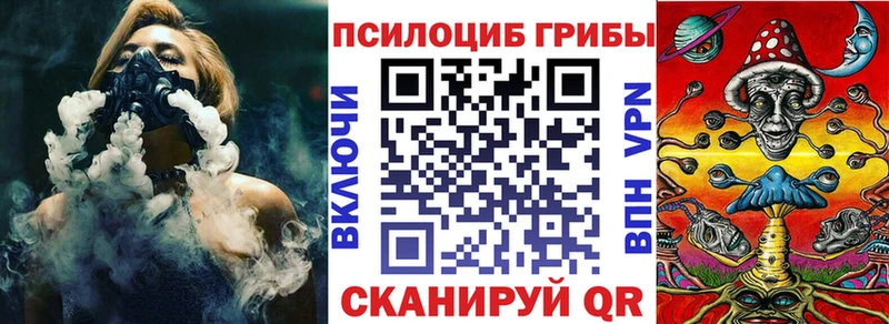 Псилоцибиновые грибы мицелий  Медынь 